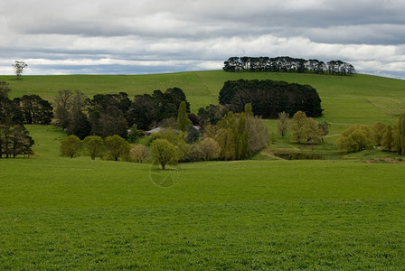 春的农村景象在雨下大后被捕捉场景柳背景图片