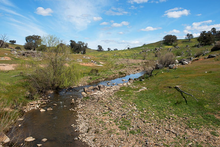 美丽靠近场景澳大利亚新南威尔士州橄榄球附近青溪图片