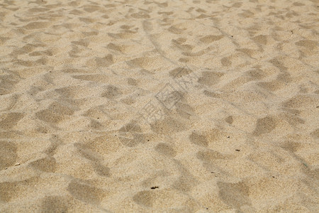 夏天荒野意大利撒丁岛西南Piscinas沙丘梦图片