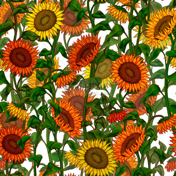 丰富多彩的时尚绘画美向日葵用于织物设计包装纸剪贴布壁等用途的彩色花岗背景和美丽的向日葵图片