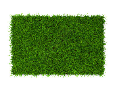 植物以白色背景孤立的绿草3d插图新鲜地面图片