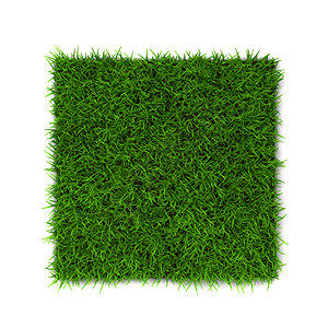 天以白色背景孤立的绿草3d插图院子天图片