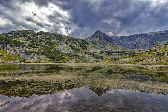 谷保加利亚里拉山带藻类的美丽山湖风景优夏天图片