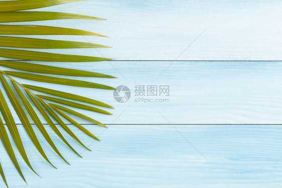 树季节蓝色木质桌上的平面相片椰子叶夏季概念顶端视图并复制您产品的补装空间旅行图片