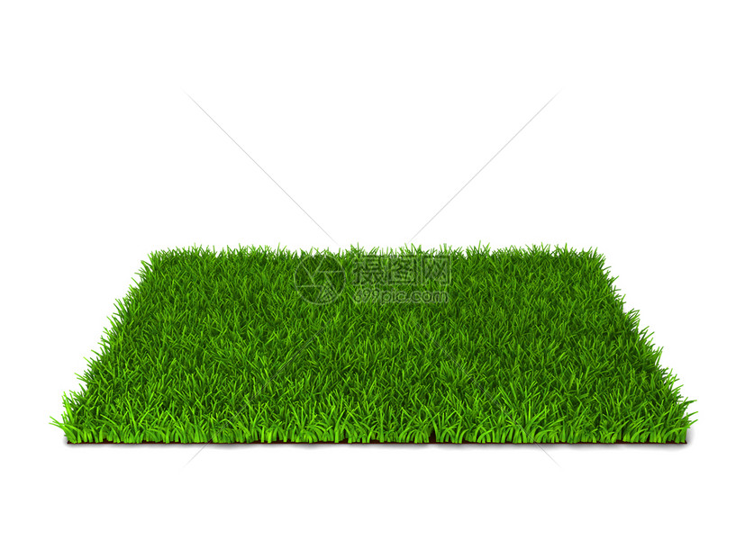 植物干净的园艺以白色背景孤立的绿草3d插图图片