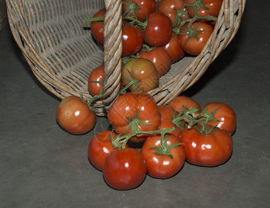 农场新鲜的带红番茄拉坦篮子植物学图片