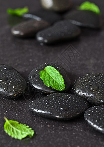 结石一组带雨滴和绿色鲜叶的黑鹅卵石美丽草本图片