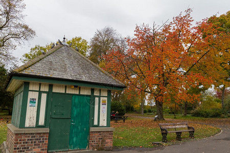 鸟团结的英格兰纽卡斯尔市秋天Llaises公园的房屋和树木景观图片