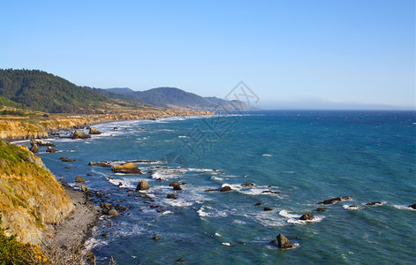 海岸线地平清除西海岸图片