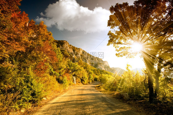 秋季日落时的林中道路图片