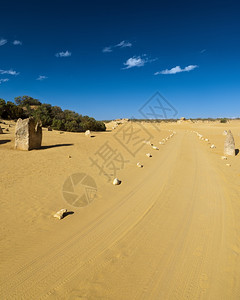 车交通澳洲沙漠道路的景象脚印图片