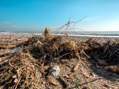包大城市海滩上的垃圾空无所用脏塑料瓶子肮的海沙岸环境污染生态问题水海岸横幅图片