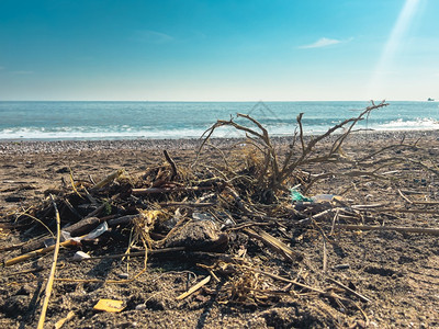 不卫生损害危险大城市海滩上的垃圾空无所用脏塑料瓶子肮的海沙岸环境污染生态问题水图片