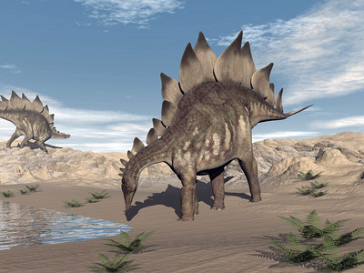 侏罗纪野生动物一天前在沙漠的个山丘上站立在靠近水的3D石松附近3D转化景观图片