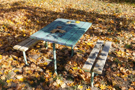 公园里的秋季落叶和桌椅图片