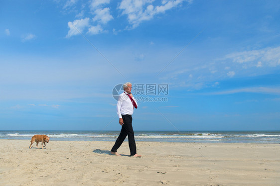 维林克老年水商人穿正规西装在海滩上走狗图片