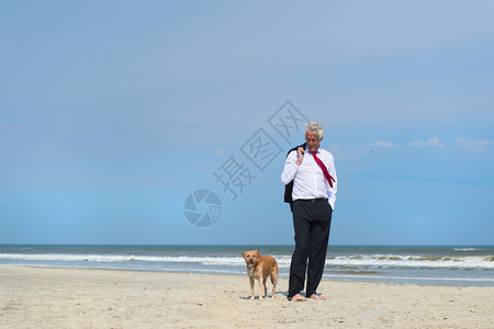 宠物商人穿正规西装在海滩上走狗自然图片