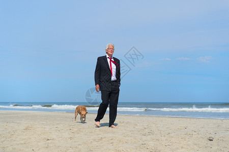 男人假期商穿正规西装在海滩上走狗放松图片