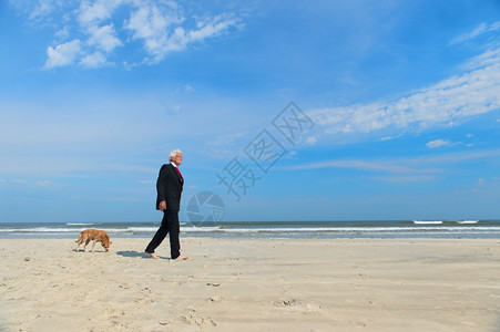 步行商人穿正规西装在海滩上走狗首席执行官放松图片