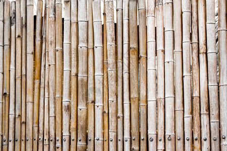 复古的A旧竹栅栏线的背景和格局丰富多彩的束图片