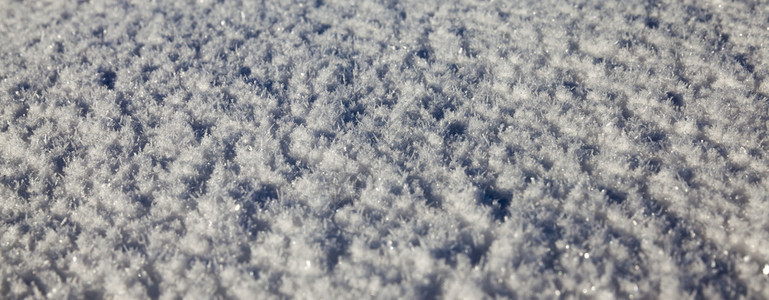 公园冬季白雪冰冻的早晨照片深雪漂浮堆有质感的图片