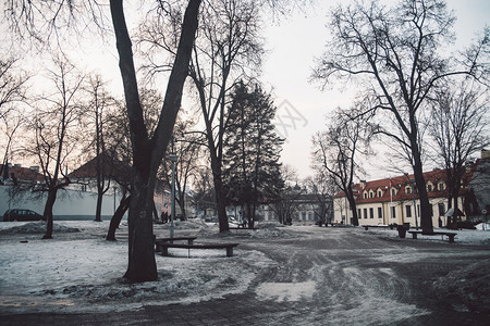 河场景乌苏皮斯维尔纽冬季公园有树木和背景的欧洲建筑图片