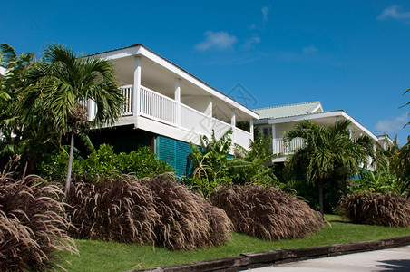 安提瓜在热带自然环绕的豪华度假胜地上美丽豪华别墅安提瓜异国情调酒店旅游图片