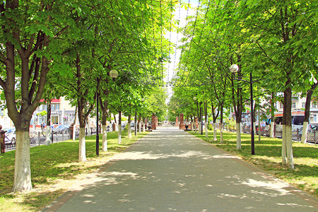 阴影游客白俄罗斯Gomel市Gomel街道上布有长凳树和挂吊花环的长板树和挂着吊带衣架的人在公园中休息时用长椅停靠在夏日美丽的城图片