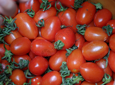 一种成熟明在安全农业博览会上展示一群番茄水果越南农产品富含维生素Ac有利于健康图片