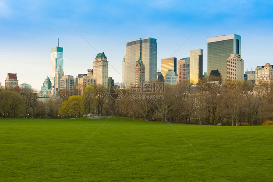 游客草美国纽约州市中央公园和心天际线的羊群梅朵复制图片