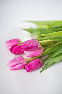 绿色叶子复活节美丽的春天花束白色背景上的粉红和白郁金香假期明信片美丽的春天花束白色背景上的粉红和白郁金香图片
