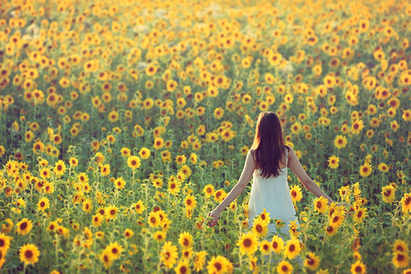 花海美女背景图片大全图片