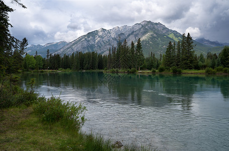 灰蒙森林加拿大艾伯塔邦夫公园BanffNationParkBanff公园洛基图片