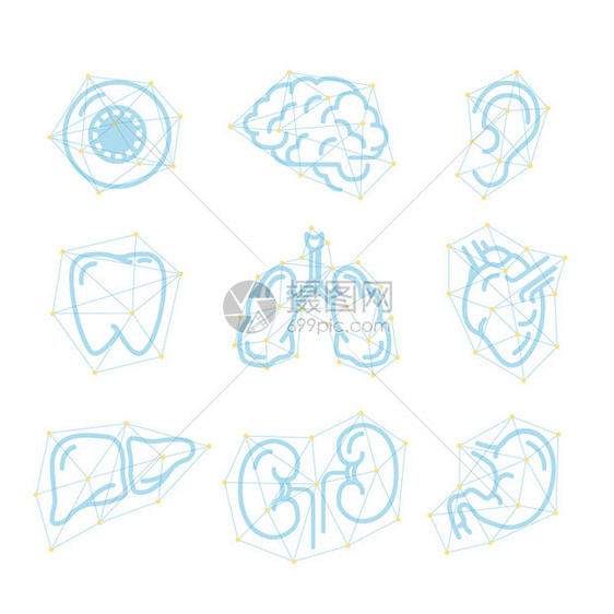 白色未来轮廓上的一组人类器官远期轮廓图标在白色未来的轮廓上孤立而来的人体器官图标形象的结构体图图片