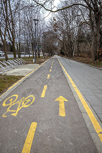 城市交通标志车道双向自行上AsphaltBikeway上的自行车标志牌骑箭沥青图片