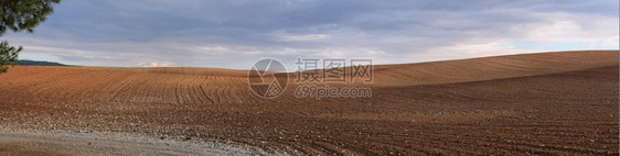 线条食物丘陵在雨前的天阴云中橙色犁田的全景图片