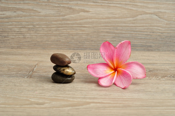 沉思的安宁粉红色弗朗吉帕尼花朵旁边有一堆平板石头绽放图片
