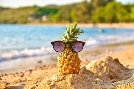 太阳玻璃在菠萝上海滩景背夏天假期概念新鲜的食物红色图片