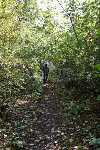 景观到秋初天人行走在一条漫步的路上青草茂密环境绿色图片