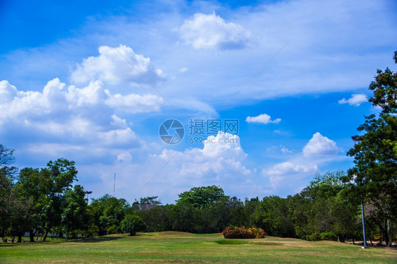 公园和明亮的天空清新绿草地在光明空气中环境夏天自然图片