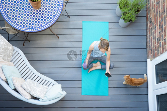 头甲板锻炼后在家检查电话时使用宠物猫的妇女头部视图连接的出去四十年代图片