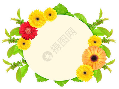 黄色的Floral椭圆边框配有莫特利花朵和绿叶色子自然的艺术首饰模板设计用在白色背景上孤立的问候卡赫贝拉图片