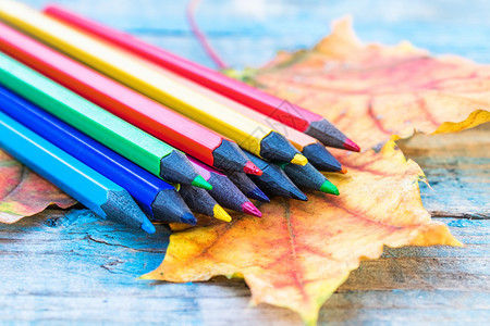 彩色铅笔和秋季枫叶图片