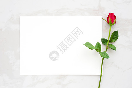 花框架情人日背景模板红玫瑰和白大理石背景皮书并有文本顶视图平面边界图片