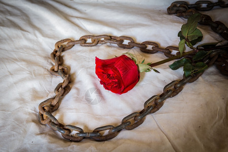 复制华伦人节时的静生代名玫瑰美丽的婚礼图片