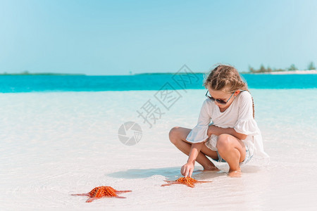 海岸线旅游可爱的小女孩有海星在滩上可爱的小女孩有海星在白空滩上保持图片