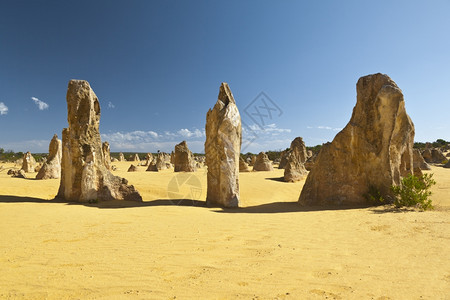 西方澳洲奇特的沙漠平塔图像假期常设图片