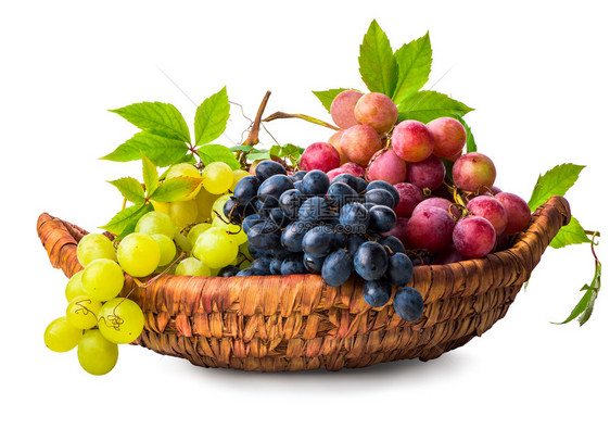 可口韦克篮子中的葡萄孤立在白色背景上维克篮子中的葡萄一种新鲜图片