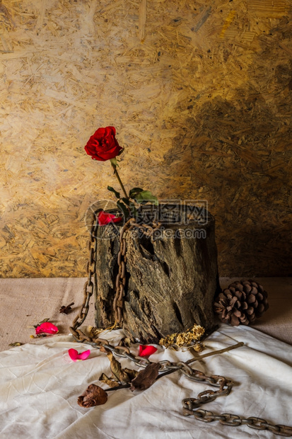 华伦人节时的静生代名玫瑰花瓶垃圾摇滚束图片