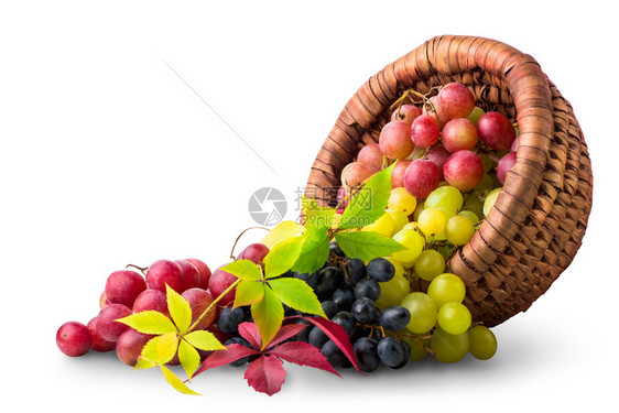 带葡萄的篮子与隔离在白色背景上黑暗的葡萄酒水果图片